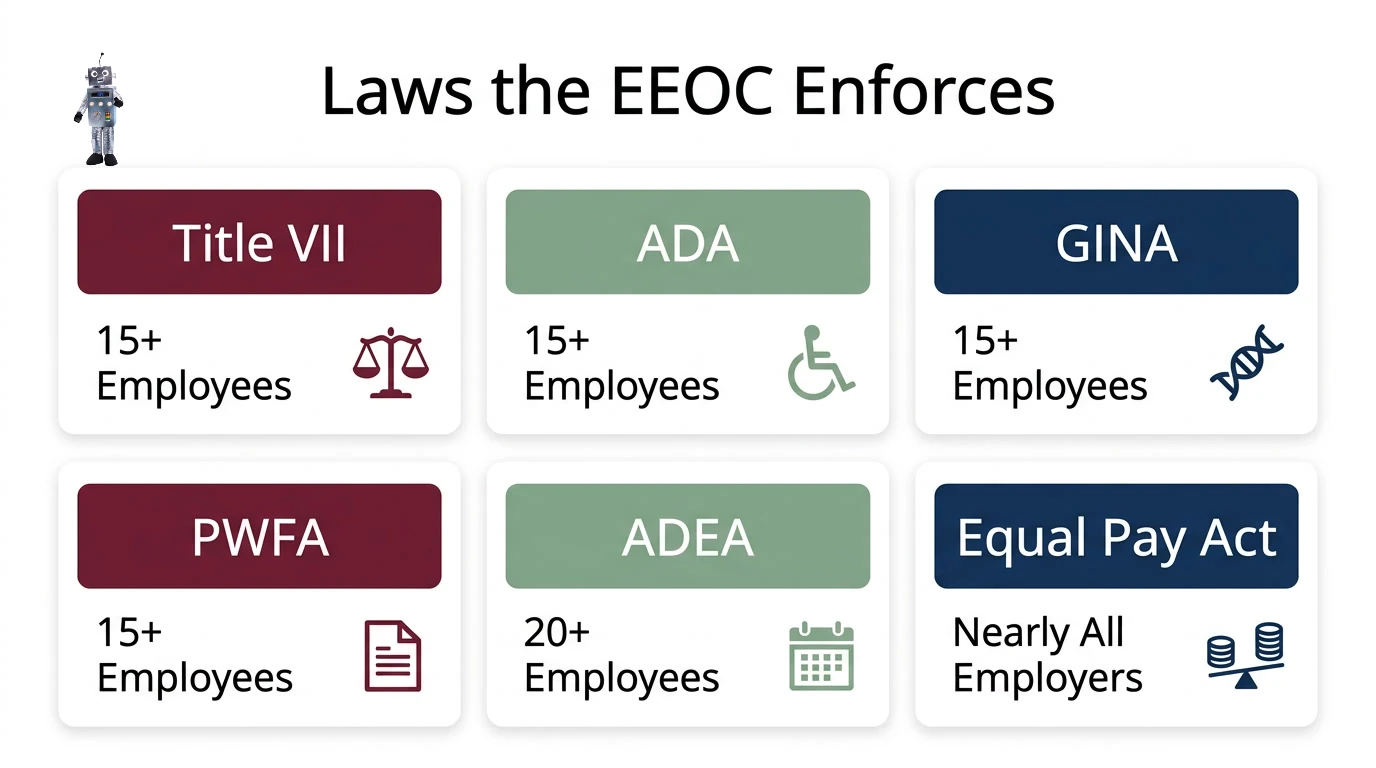 Infographic showing the federal laws the EEOC enforces and their employee thresholds